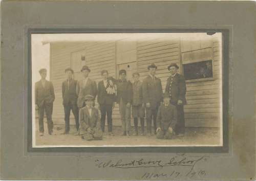 Walnut Grove School March 17, 1910